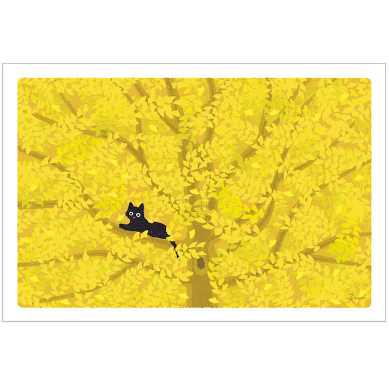 Carte Postale Tabineko - Ginkgo