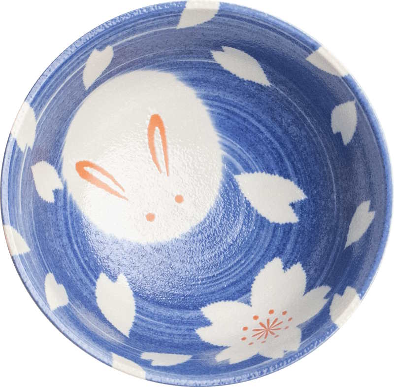 Set de 2 Bols à Donburi Usagi