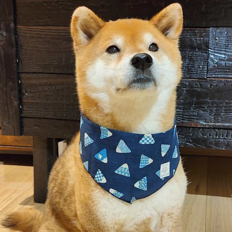 Bandana pour Chien ou Chat