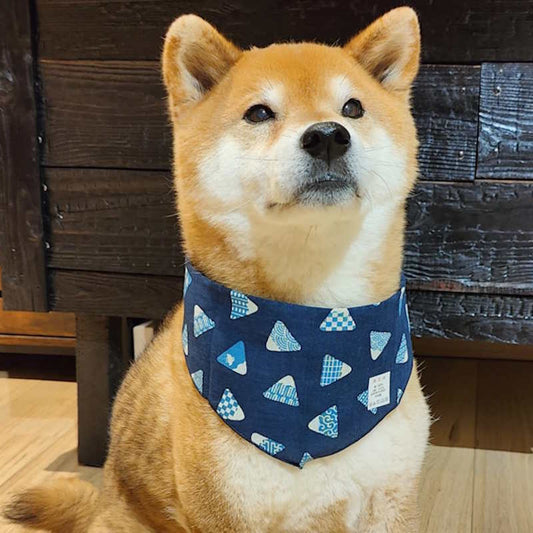 Bandana pour Chien ou Chat